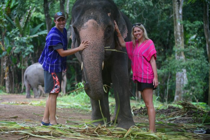 Cho voi ăn - Tất tần tật kinh nghiệm du lịch Chiang Mai Thái Lan