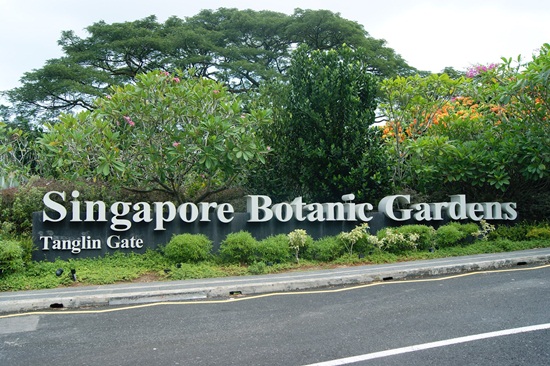 điểm đến thu hút du khách ưa thích thiên nhiên khi đi du lịch Singapore