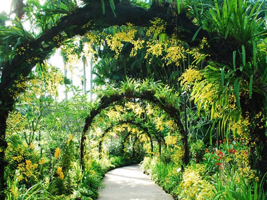 Singapore Botanic Gardens công viên đẹp nhất châu Á