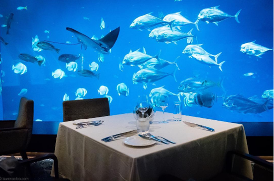 thưởng thức bữa tối tại nhà hàng Đại Dương