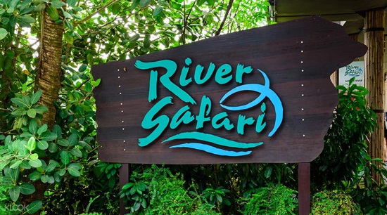 Sẵn sàng một chuyến phiêu lưu hoang dã với river safari singapore
