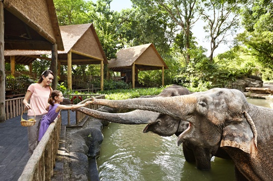 Hướng dẫn đi lại ở Singapore Zoo