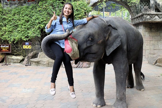 Kinh nghiệm tham quan Safari World Bangkok Thái Lan