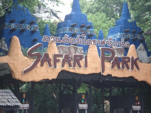 Cách mua vé và những lưu ý khi tham quan vườn thú Safari World Bangkok