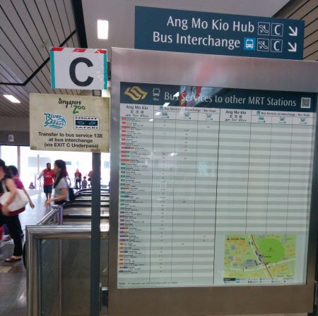 Cách tự đi vườn thú Singapore Zoo bằng xe bus Mandai Express