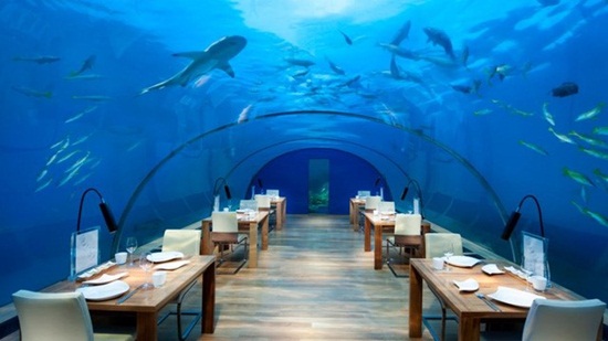 Nhà hàng dưới nước Ocean Restaurant ở Sea Aquarium Singapore