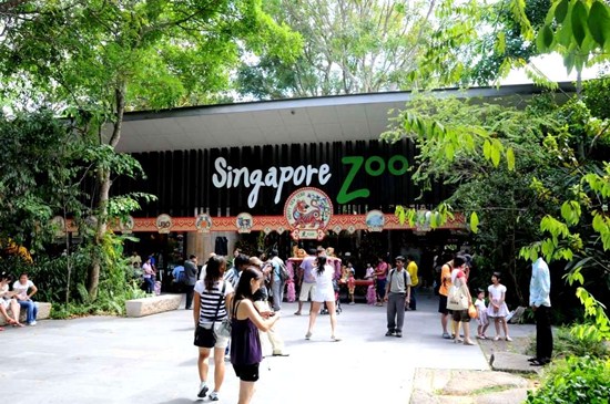 Hướng dẫn tham quan vườn thú Singapore Zoo, Night Safari và Jurong Bird Park