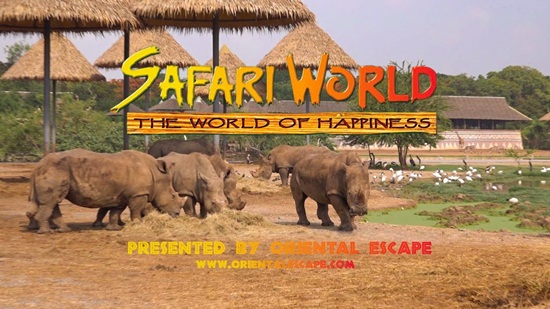 Safari world bangkok điểm tham quan hấp dẫn khi đến Thái Lan