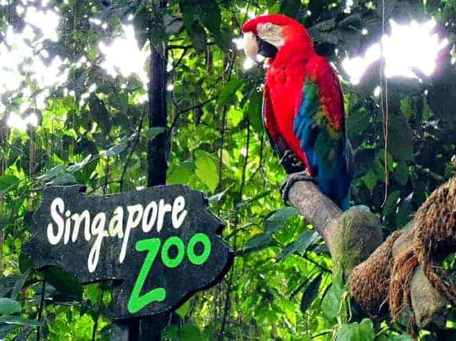Vé Singapore Zoo