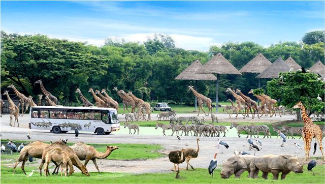 Vé Safari World Bangkok
