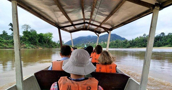 Tour Tham Quan Vườn Quốc Gia Taman Negara Một Ngày
