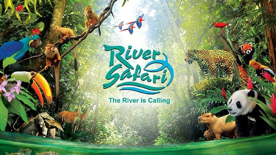 Công viên hoang dã lớn nhất thế giới River Safari Singapore