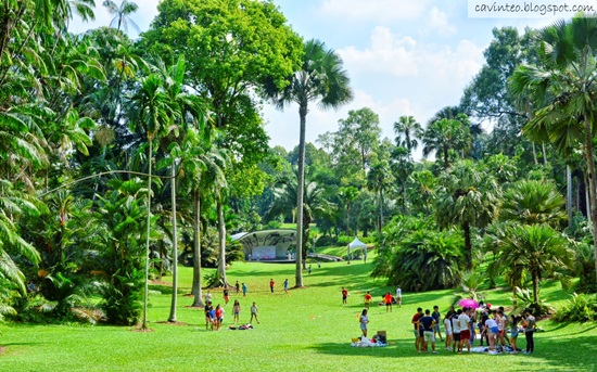 Singapore Botanic Gardens công viên đẹp nhất châu Á
