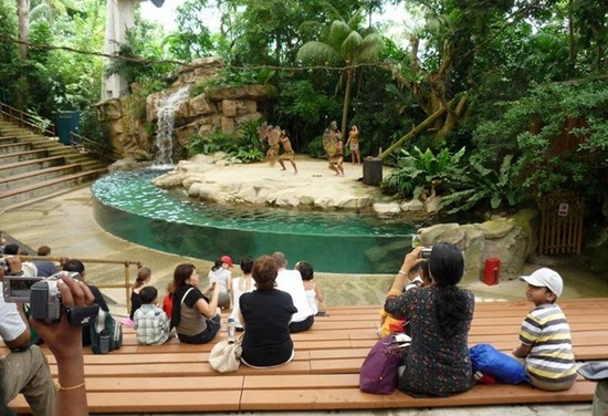 Tham quan sở thú singapore zoo ở Singapore