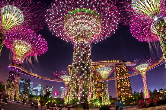 Tham quan 18 siêu cây thẳng đứng ở Garden by the bay Singapore