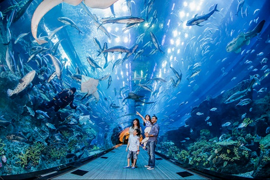 Công viên thủy cung lớn nhất thế giới sea aquarium