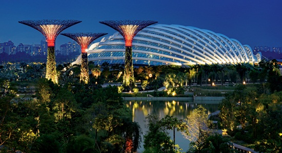 Garden by the bay - thành phố trong vườn đẹp nhất Singapore