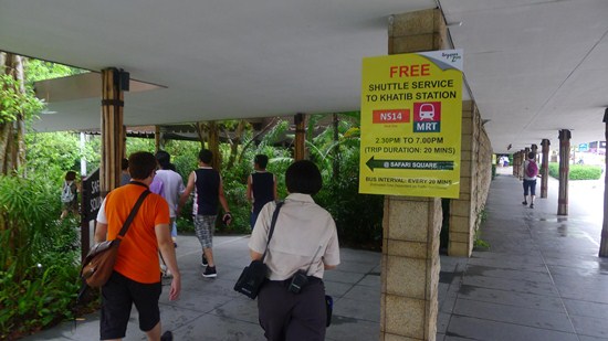 Hướng dẫn cách tự đi vườn thú Singapore Zoo