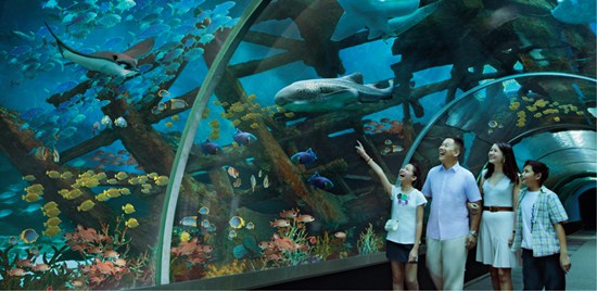 Một mình khám phá Universal Studio và S.E.A Aquarium trên đảo Sentosa Singaore