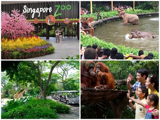 Singapore zoo ở đâu