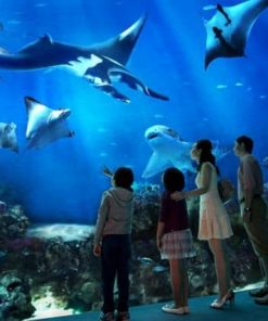 Vé S.E.A Sea Aquarium Singapore