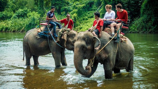 Vé Pattaya Elephant Village