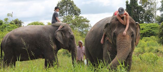 vé Pattaya Elephant Village