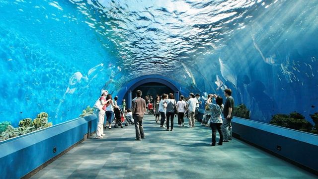 Vé Underwater World Pattaya