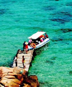 Tour du lịch Quy Nhơn - Đảo Hòn Khô - Lặn Ngắm San Hô